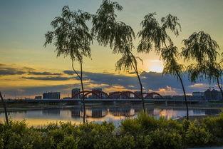 营口辽河公园爆料视频,揭秘公园美景与趣事